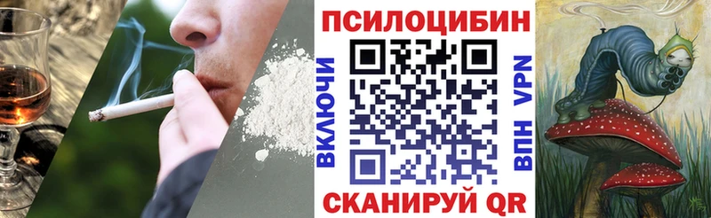 Купить где  Игра  Псилоцибиновые грибы прущие грибы 